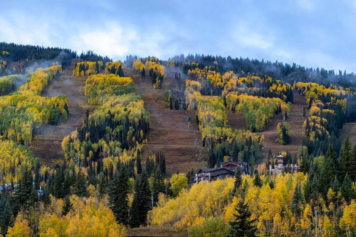 Sweeping mountain slopes covered in colorful trees lead up to ski lifts and a cozy lodge. The environment is serene yet adventurous, offering a glimpse of both natural beauty and memorable outdoor pursuits.